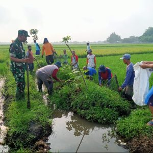 Basmi Musuh Petani, Babinsa Wonosari Gropyokan Tikus di Desa Binaan