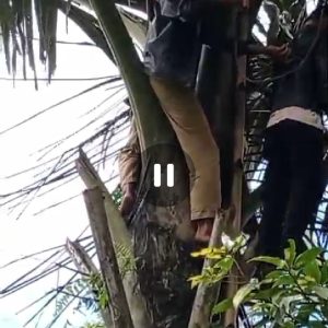 Viral Video Caleg Gantung Diri Tak Terima Kekalahan Habis Dana Rp1 M, Begini Kata Kapolsek