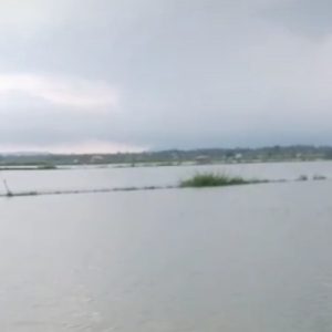 Pasca Banjir, Petani Tambak Pematang Pasir Alami Kerugian Total