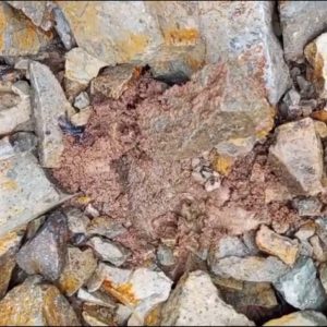 Kegiatan Jalan Subbase Kampung Wira Agung Sari Diduga Markup