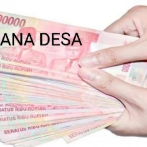 APDESI Tubaba Diduga “Ngolah” Dana Publikasi DD di 100 Tiyuh