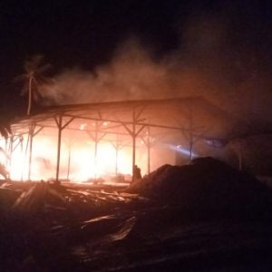 Sijago Merah Musnahkan Tempat Pengopenan Jagung Milik Warga Desa Tamansari 