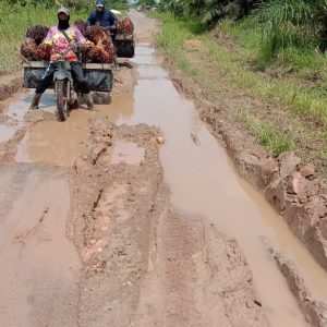 Lima Desa di kecamatan Mesuji Keluhkan Soal Akses Jalan Rusak dan Berlumpur yang Tak kunjung Diperbaiki