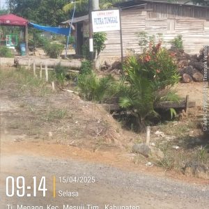 Diduga Rugikan Konsumen, Diskoperindag Mesuji Siap Uji Tera Timbangan Lapak Sawit Putra Tunggal