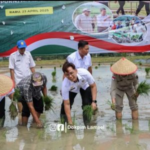 Bupati Egi Ikut Tanam Padi Serentak di 14 Provinsi Secara Daring Bersama Presiden Prabowo