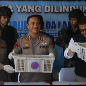 Ratusan Burung Ilegal Gagal Diselundupkan, Truk Diamankan di Pelabuhan Bakauheni