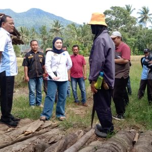 Bella Jayanti Wakil Ketua DPRD Lamsel Tinjau Akses Jembatan Darurat di Desa Tajimalela