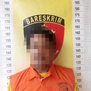 Polisi Ungkap Kasus Pencurian, Satu Pelaku Diamankan