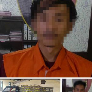 Polisi Tangkap 3 Pelaku pencuri satu mobil buah kelapa di malam hari.
