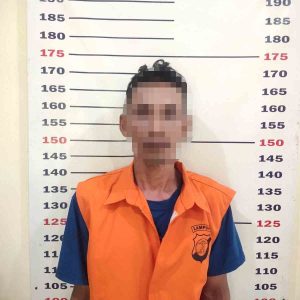 Pelaku Pencurian Sapi Di Lampung Selatan Diringkus Polisi