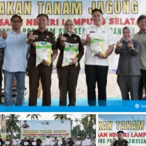 Aksi Nyata! Bupati Egi dan Kajati Tanam Jagung Bareng, Demi Ketahanan Pangan & Kesejahteraan Petani