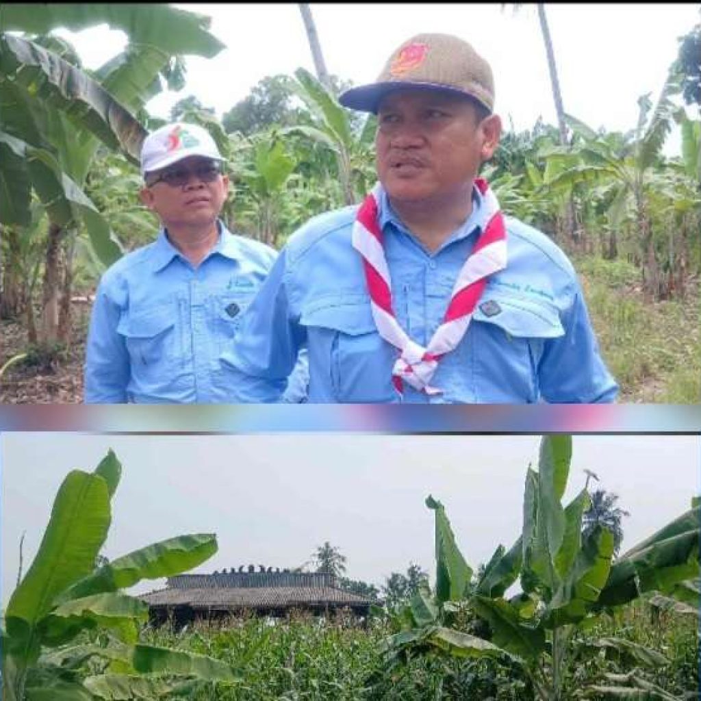 Tanggapi Polemik BUPER Jadi Perkebunan, Sekretaris Kwarda Pramuka Lampung Lakukan Peninjauwan Lokasi 