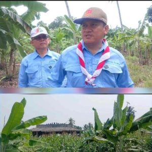 Tanggapi Polemik BUPER Jadi Perkebunan, Sekretaris Kwarda Pramuka Lampung Lakukan Peninjauwan Lokasi 