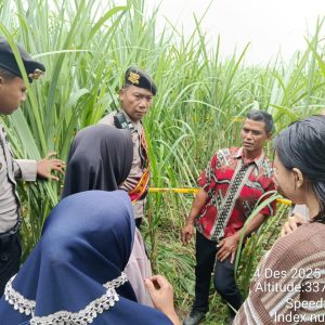 Mayat Perempuan Ditemukan di Kebun Tebu Bondowoso, Diduga Meninggal Lebih dari 40