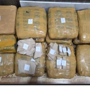 Polda Lampung Ungkap Peredaran Ganja 13,8 Kg di Lampung Selatan, Satu Pengedar Diamankan