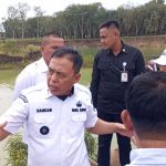 Sidak Tambang pasir Batu ampar Wabup Tuba Hankam Hasan Tegaskan aktifitas Penambangan di tutup