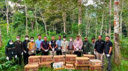 977 Ekor Burung, Termasuk Satwa Dilindungi, Digagalkan di Pelabuhan Bakauheni